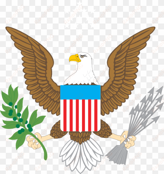 American Bald Eagle Clip Art transparent png image