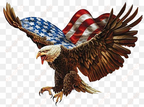 american flag eagle png - eagle billiards