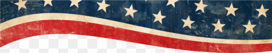 american flag header - any functioning adult 2020