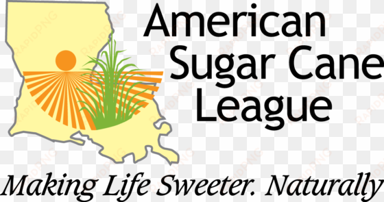 american sugar cane league - ti america