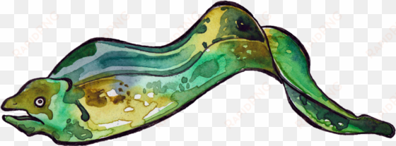 an eel sprite - illustration