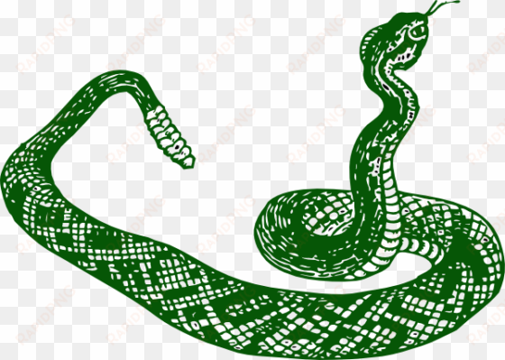 anaconda clipart jungle snake - serpiente blanco y negro