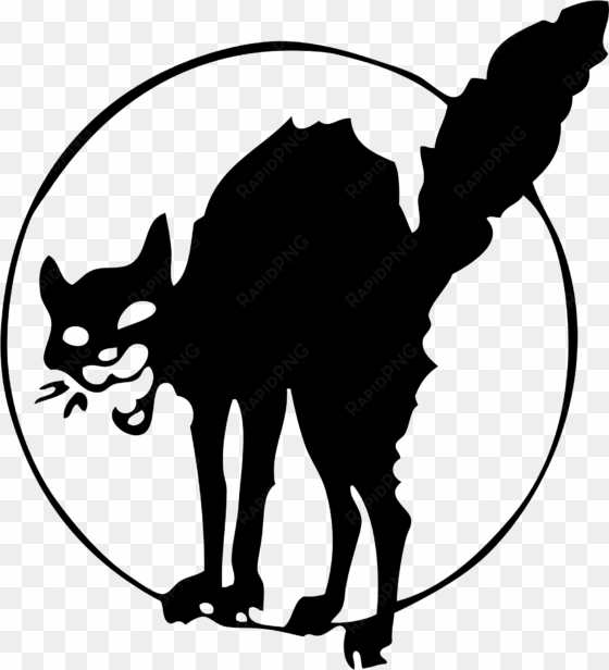 anarchist black cat