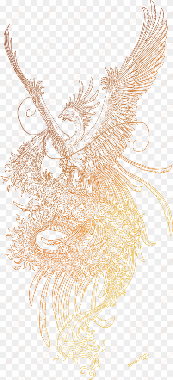 and dragon lineart by sunima deviantart com - drawing phoenix