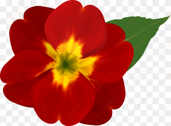 and yellow flower png image gallery yopriceville - red flowers with yellow
