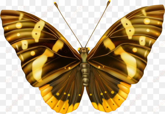 and yellow png image gallery yopriceville view - butterfly clipart images png