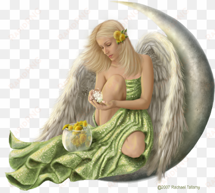 angel png for free download on - png transparent angels