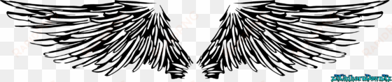Angel Wings Line Art By Xxchiharudawnxx On Deviantart transparent png image
