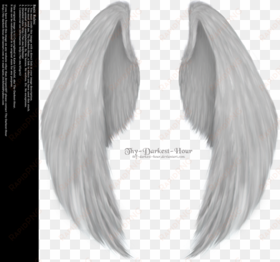 angel wings png clipart - angel wing png