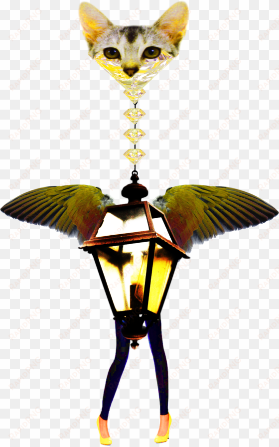 “angels of the internet” by combining multiple different - cat