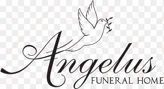 angelus funeral home - calligraphy