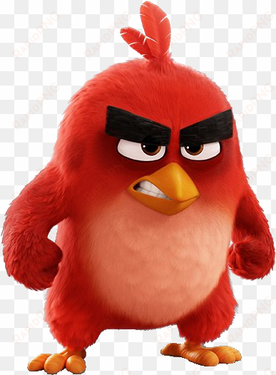 Angry Status For Whatsapp - Angry Bird Red Happy transparent png image