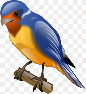 animal, bird, swallow, twitter icon - swallow bird