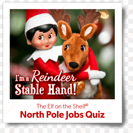 animal - elf on the shelf north pole jobs