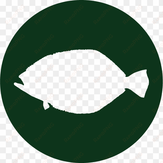 animal encounters - bass - bass - flounder - nussmilchbeutel, passiertuch für nussmilch, mandelmilch