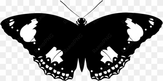 animal silhouette, silhouette clip art butterfly - clear silhouettes of animals