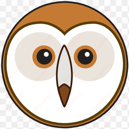 animaru barn owl - barn owl