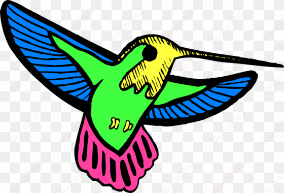 animation clip art birds transprent png free - cool cartoon hummingbird