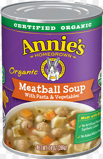 annie's chicken noodle soup
