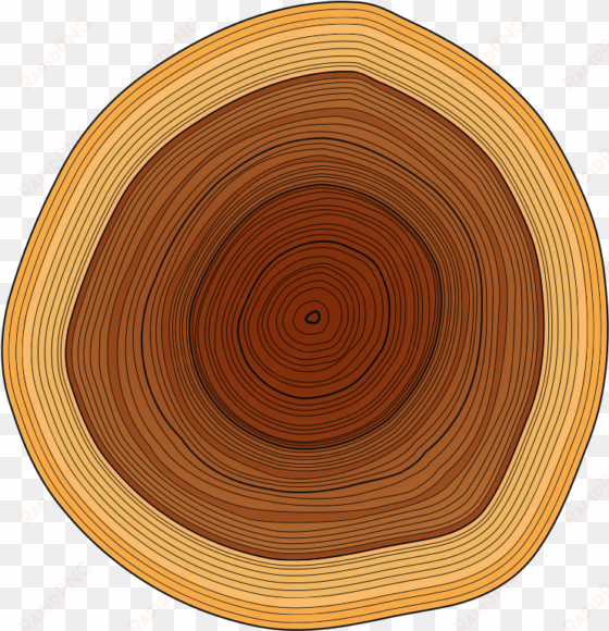 annual rings image royalty free - wood log vector png