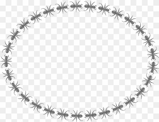 ant border png clipart black and white download - circle garland border png