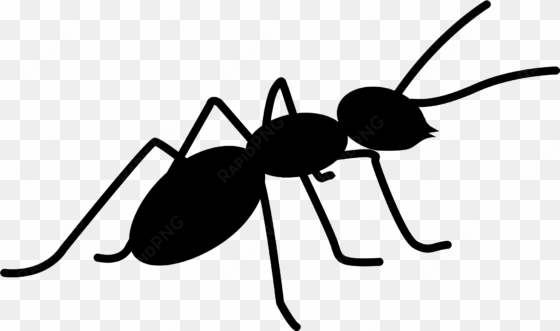 Ant Png - Ant Creative Commons transparent png image