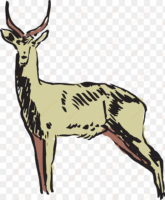 antelope green, drawing, art, forest, horns, animal, - animals clipart