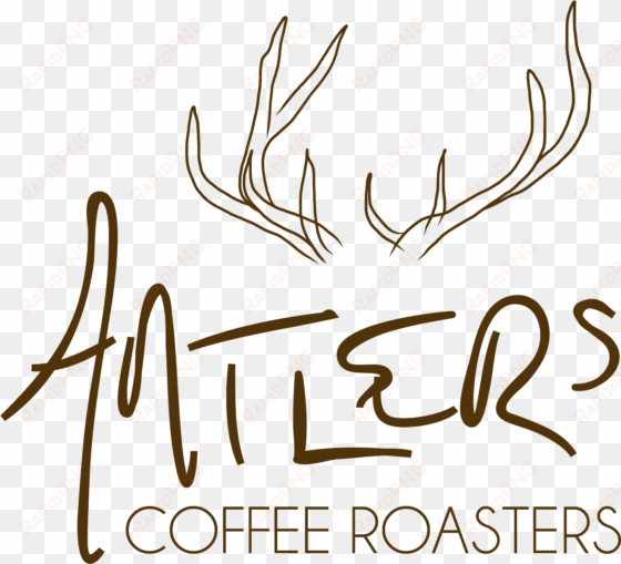 antlers coffee roasters - brewed coffee