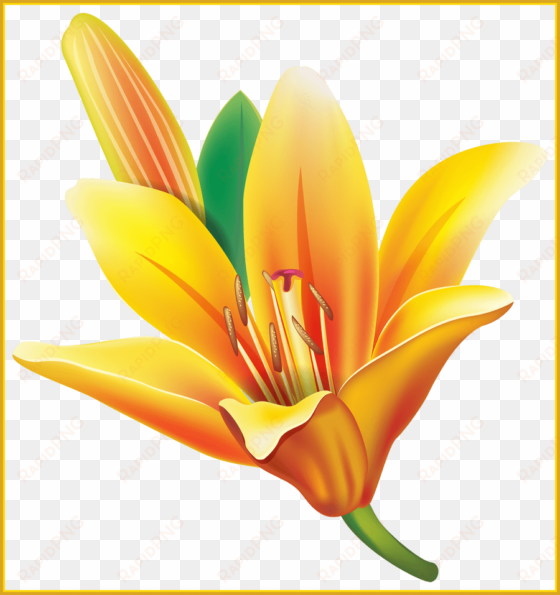 appealing real flower pencil and in color - flower png