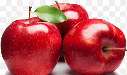 apple fruit high quality png - apple fruit png