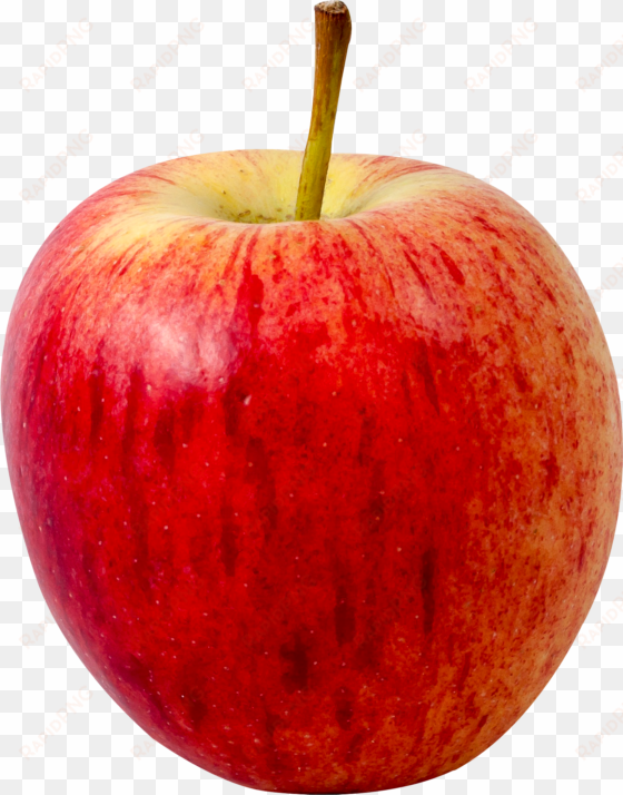 apple fruit png transparent image - cameo apples