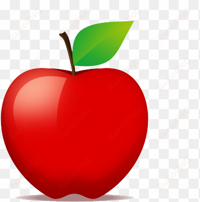 apple fruit simple icon - teacher apple png