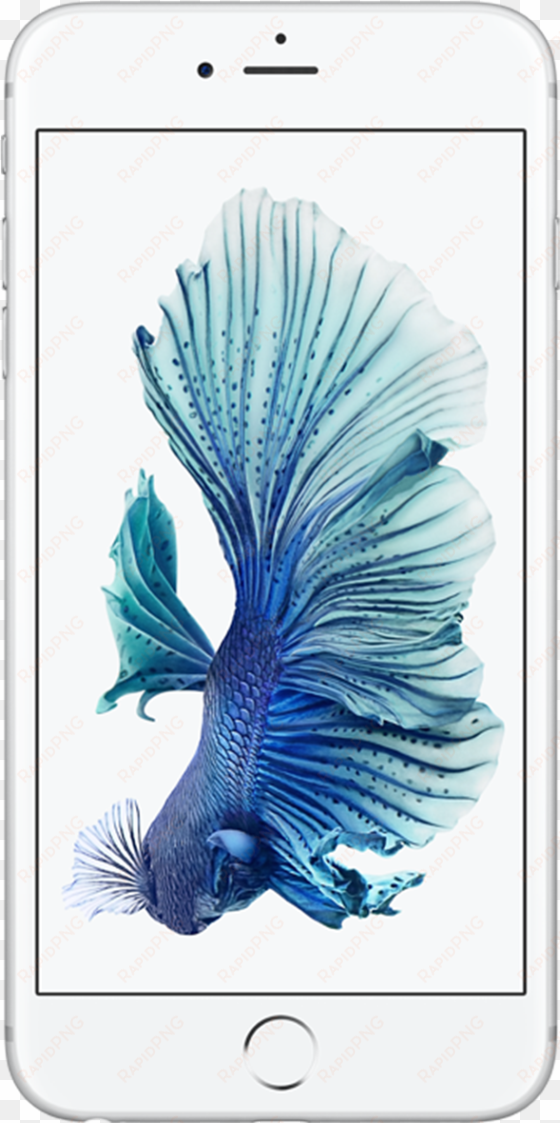 apple iphone 6s plus - iphone 6 silver