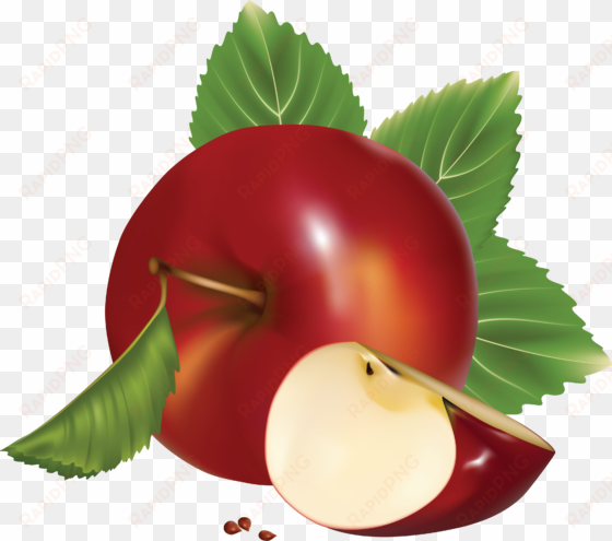 apple png - apple fruit vector