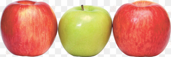 apple png - red green apples transparent