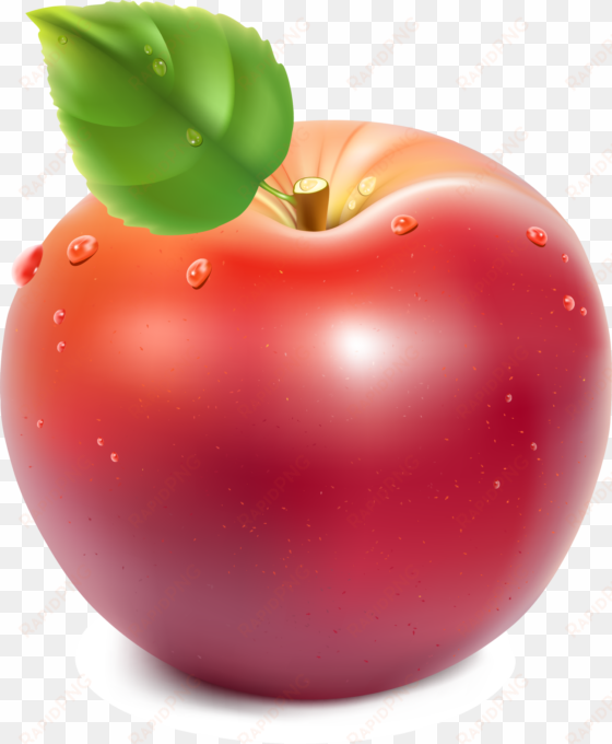 apple royalty-free clip art - vector graphics