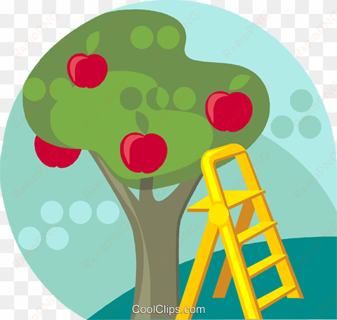 apple tree with ladder royalty free vector clip art - cartoon apple tree ladder
