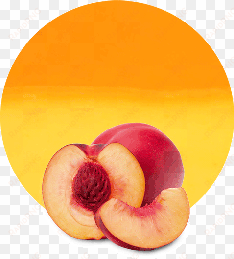 apricot nectarine purees are perfect for use in the - fruit and vegetables one cut in half