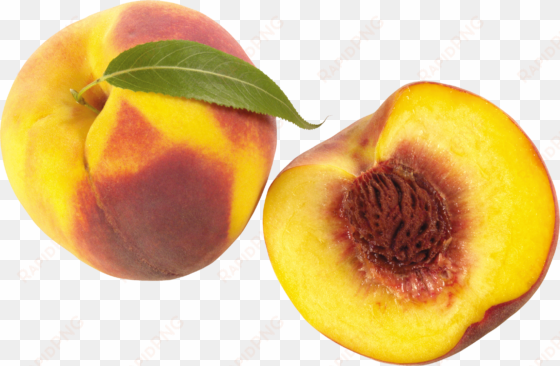 Apricots transparent png image