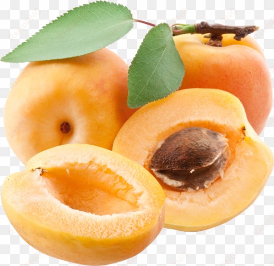 apricots png