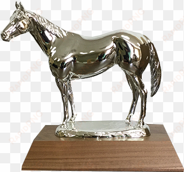 aqha level 1 silver trophy - silver