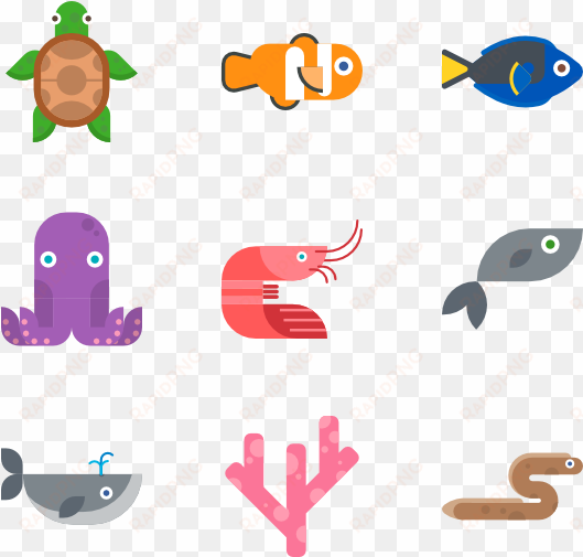 aquatic animal collection - vector graphics