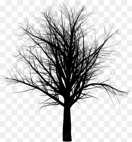 arbol blanco y negro png