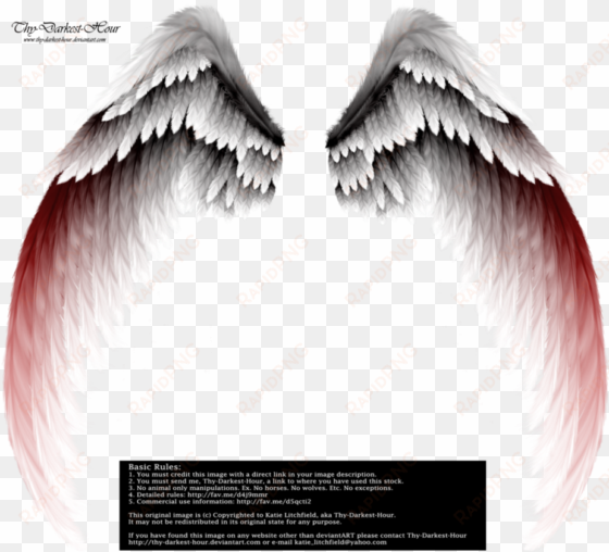 arch wings red tinge - transparent background wings png