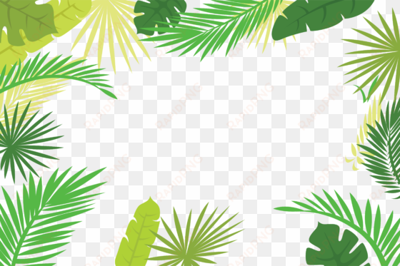 arecaceae text branch leaf - palm leaf border png
