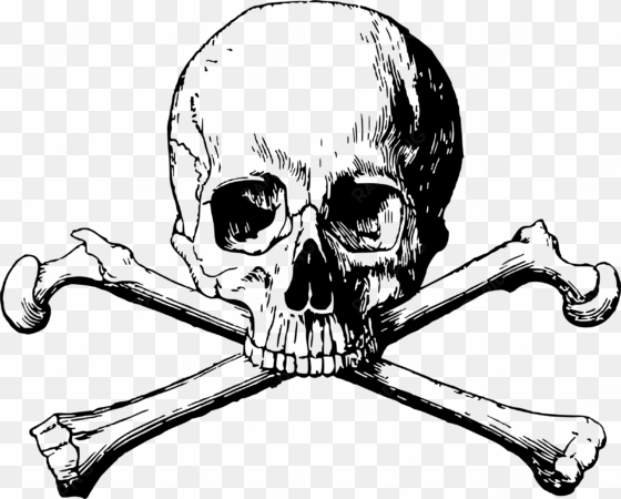 ark skull and crossbones symbol