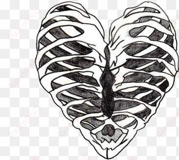 art, artistic, beauty, brain, cool, drawing, drawings, - skeleton heart drawing