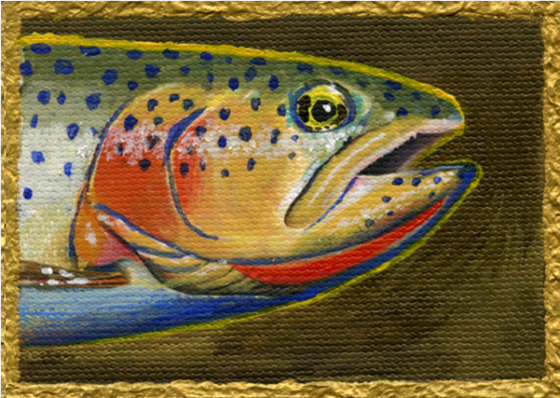 art cards by bern sundell including trout and hawks - montana