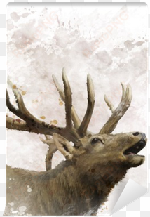 art print: sunnys's bull elk watercolor, 30x30cm.
