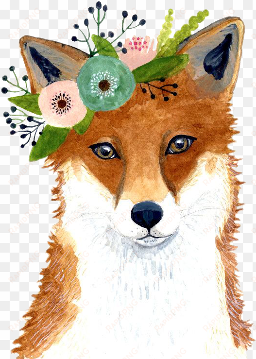 art watercolor drawing fox foxes foxy - animal flower crown art